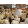 Trade Assurance Chick Rearing Cage For Sale